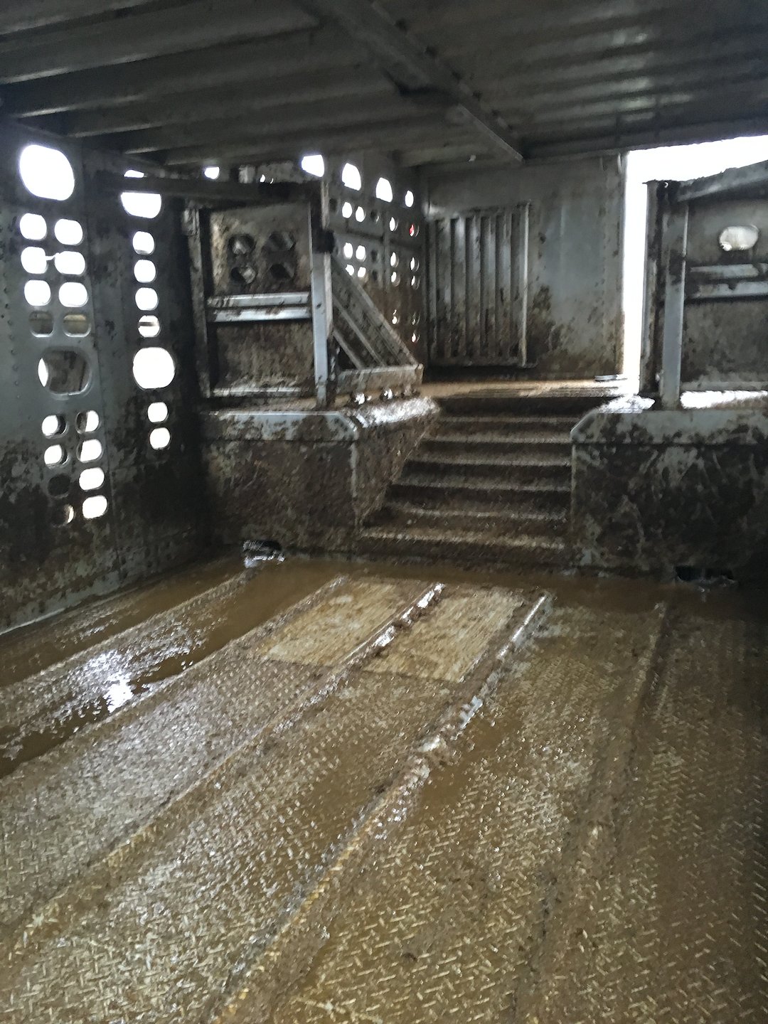 Cattle trailer pressure washing 