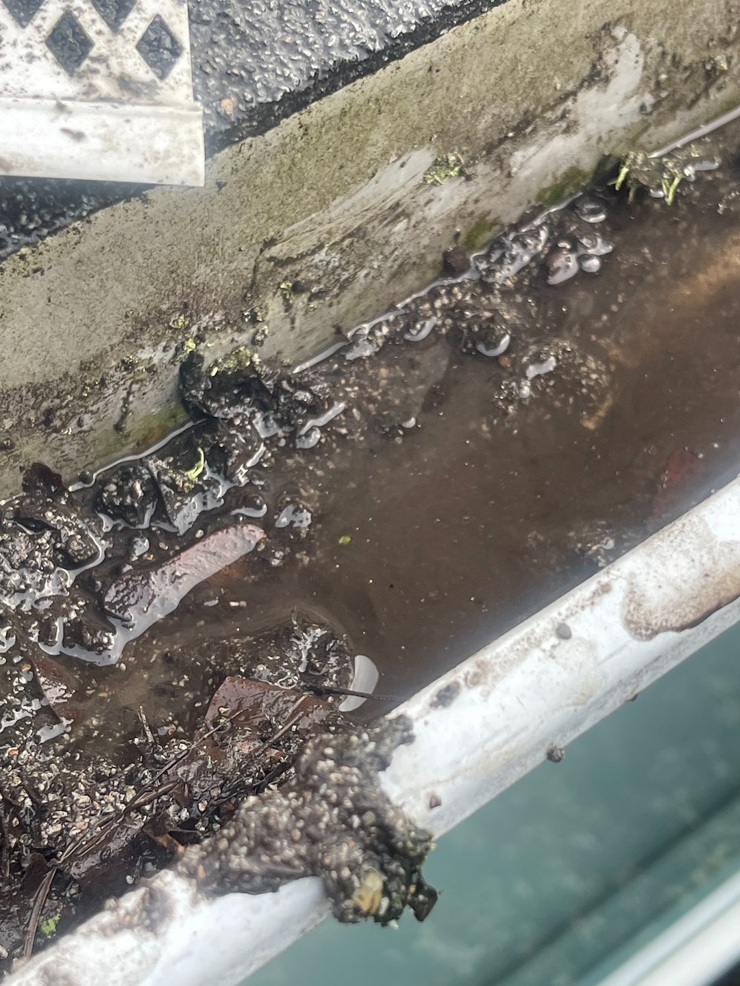 GUTTER CLEANING EAST GREENBUSH NY