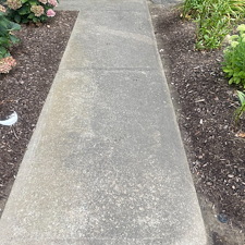 PAVER-PATIO-PRESSURE-WASHING-1 7