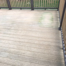 TREX-DECK-CLEANING-PRESSURE-WASH-GLENMONT-NY 4
