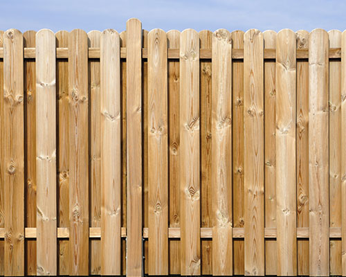 Fence cleaning