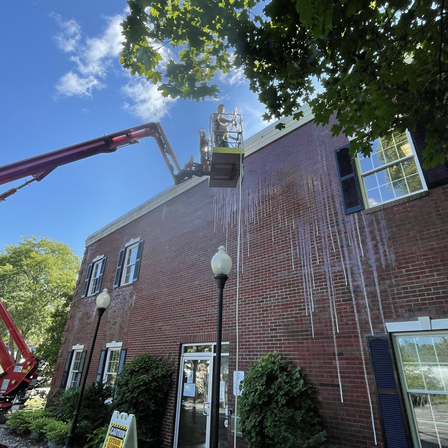 Roof cleaning